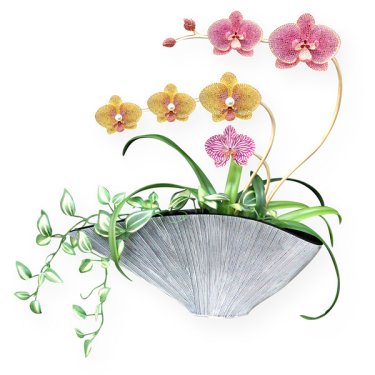 Full Bloom orchid brooch/necklace in 18k gold with sapphires and diamonds, price on request; EJI